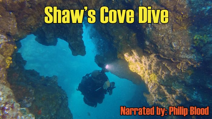 Shaws Cove